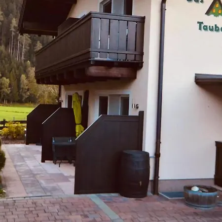 In Hollersbach With Terrace Hollersbach im Pinzgau