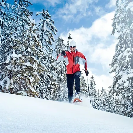 Casa de Férias In Hollersbach With Terrace *