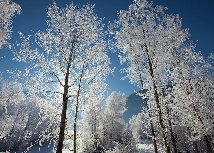 In Hollersbach With Terrace *