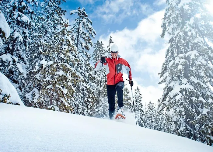 Tatil Evi In Hollersbach With Terrace *